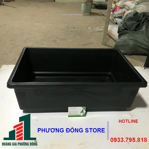 Chậu nhựa trồng rau